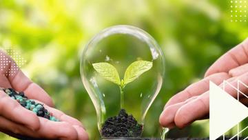 Certificación Profesional en Gestión Ambiental: aspectos legales, administrativos y sociales