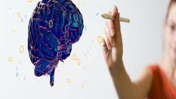 Neurodiseño. Estrategias para la docencia interdisciplinar